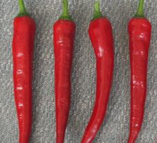 �t��-�����N��-���N