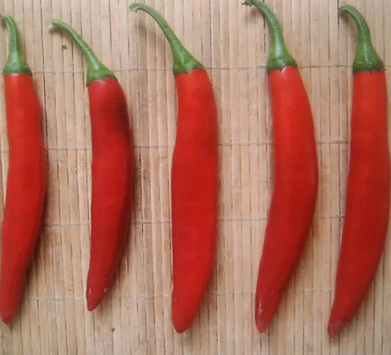 �t��-�����N��-���N