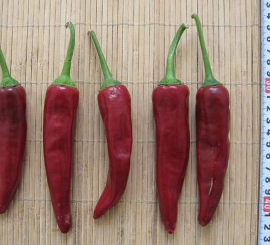 ���ݼt-�����N��-���N