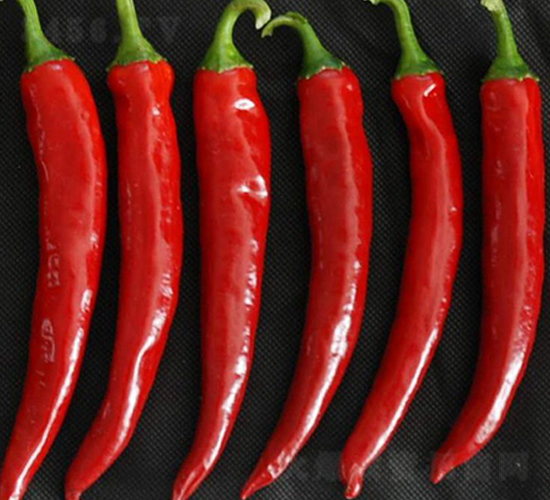 ���r(n��ng)2̖(h��o)-�����N��-���N