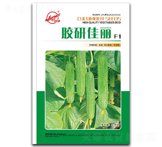 �z�м���-�S�ϷN��-�z��