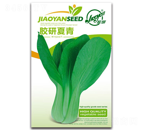 �z������-�Ͳ˷N��-�z��