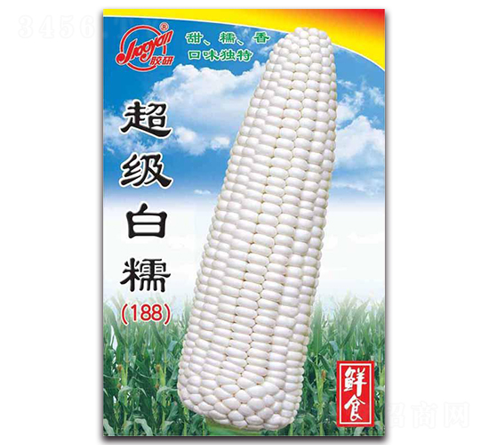 ������Ŵ��188��-Ŵ���׷N��-�z��