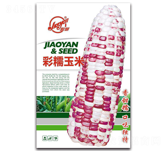 �z�в�Ŵ����-Ŵ���׷N��-�z��