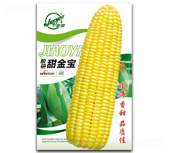 �z�������-�����׷N��-�z��