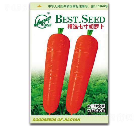 ���x�ߴ���}��-�}���N��-�z��