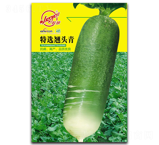 ���x�N�^��-�}���N��-�z��