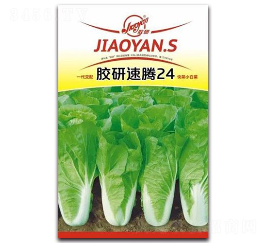 �z�����v24-С�ײ˷N��-�z��