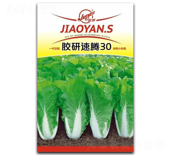 �z�����v30-С�ײ˷N��-�z��