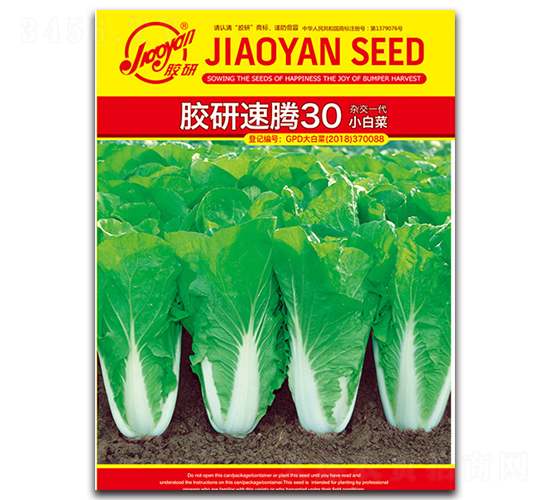 �z�����v30С�ײ�-С�ײ˷N��-�z��