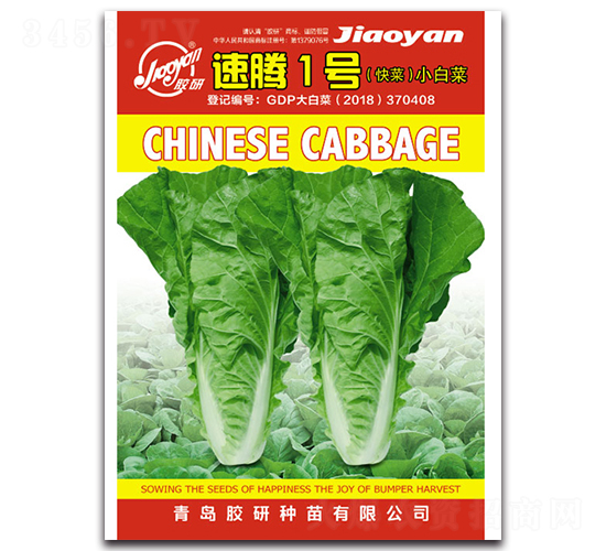 ���v1̖-С�ײ˷N��-�z��