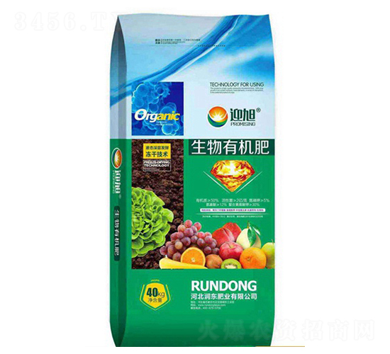 �����ЙC(j��)��-ӭ��-���|�ʘI(y��)