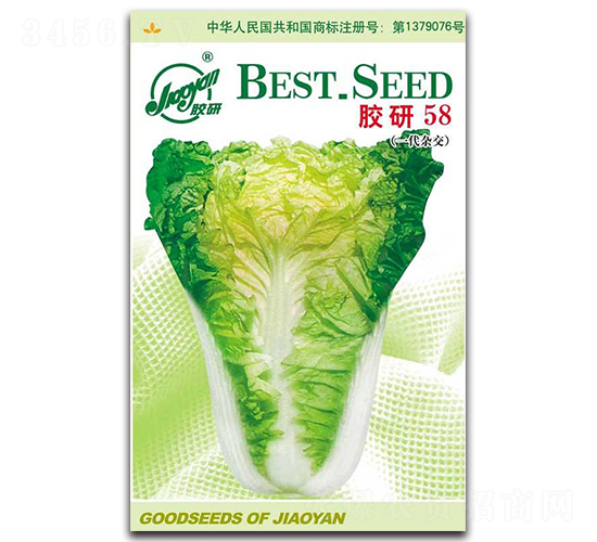 �z��58-�ﲥ�ײ˷N��-�z��