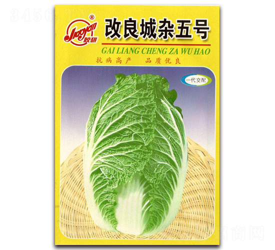 �������s��̖(h��o)-�ﲥ�ײ˷N��-�z��