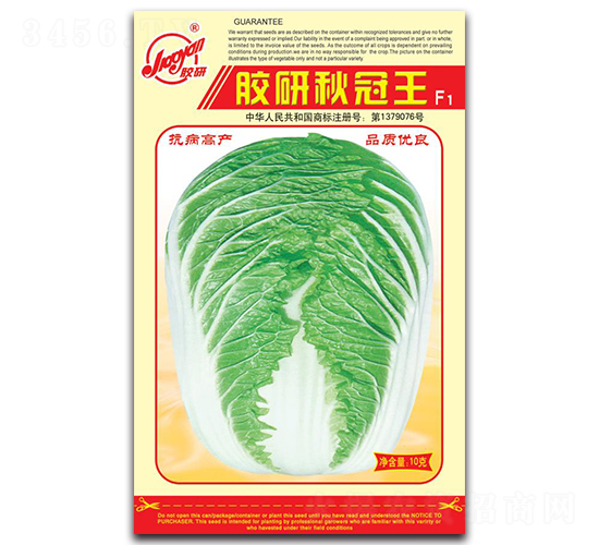 �z�������-�ﲥ�ײ˷N��-�z��