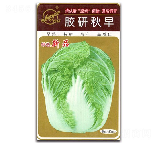 �z������-�ﲥ�ײ˷N��-�z��