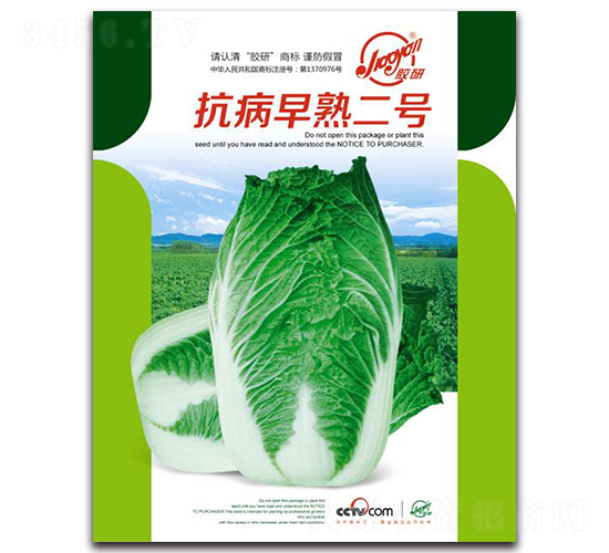 ���������̖-�ﲥ�ײ˷N��-�z��