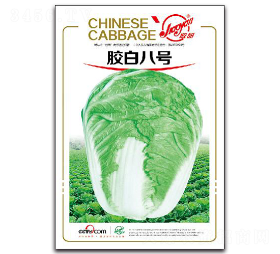 �z�װ�̖-�ﲥ�ײ˷N��-�z��