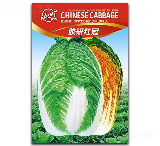 �z�мt��-�ﲥ�ײ˷N��-�z��