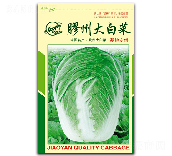 �z�ݴ�ײ�-�ﲥ�ײ˷N��-�z��