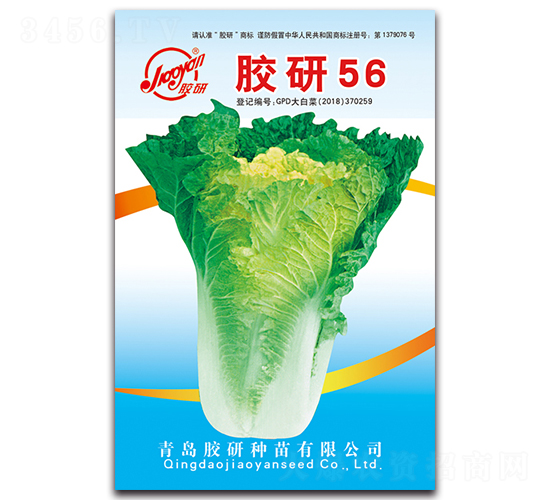 �z��56-�ﲥ�ײ˷N��-�z��