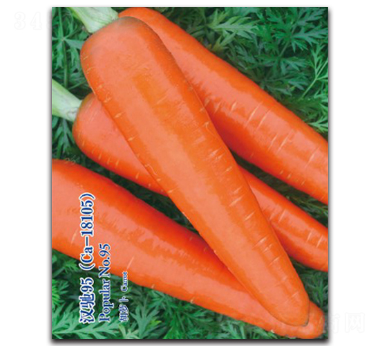 �h�Y95-���}���N��-�h��