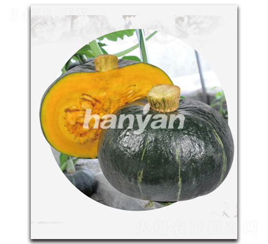 �h�����\-�ϹϷN��-�h��