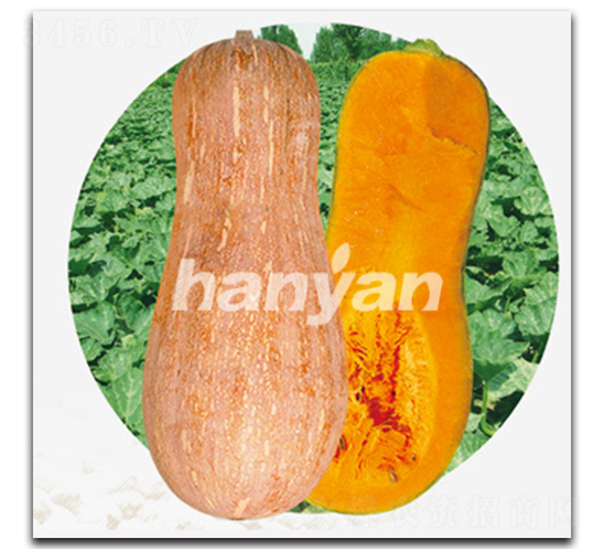 �h����̖-�ϹϷN��-�h��