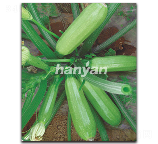 �h�@����-�����J�N��-�h��