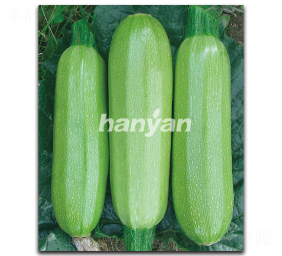 �h����̖(h��o)-�����J�N��-�h��