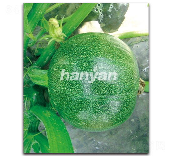 �h�@����-�����J�N��-�h��