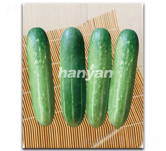 �h����̖(h��o)-�S�ϷN��-�h��