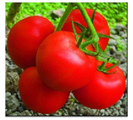 ��ȸ-���ѷN��-���N