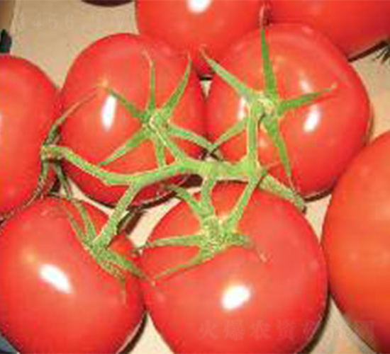 ���A-���ѷN��-���N