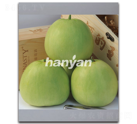 �h������-��ϷN��-�h��