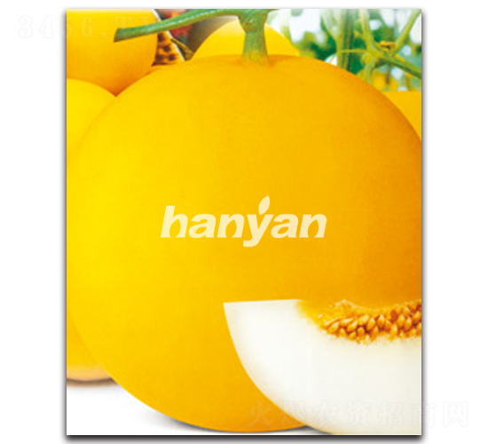 �h誽���-��ϷN��-�h��