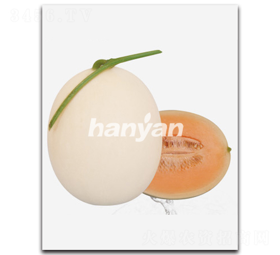 �h�ѩ�t-��ϷN��-�h��