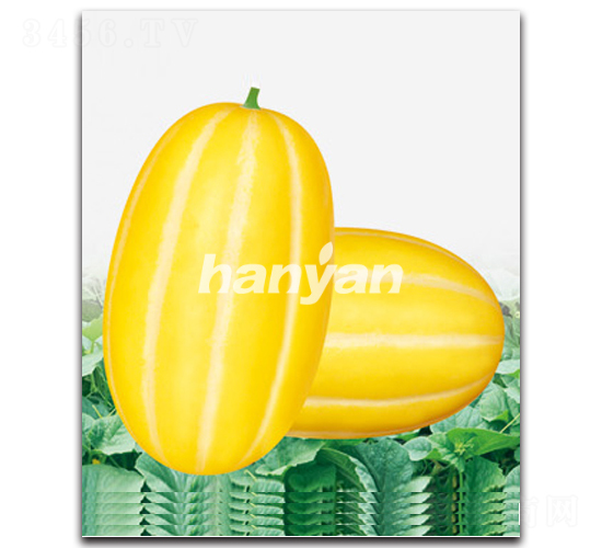 �h֔(j��n)����-��ϷN��-�h��