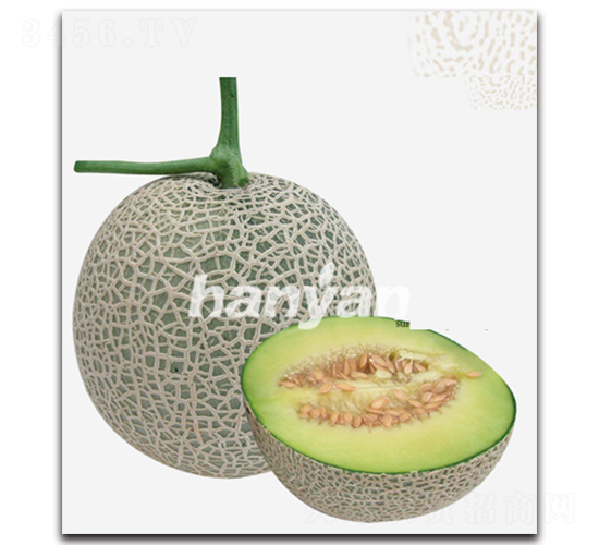 �h�W(w��ng)һ̖-��ϷN��-�h��