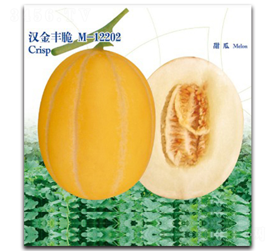 �h���S��-��ϷN��-�h��