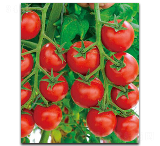 �h�Ѽt��-���ѷN��-�h��