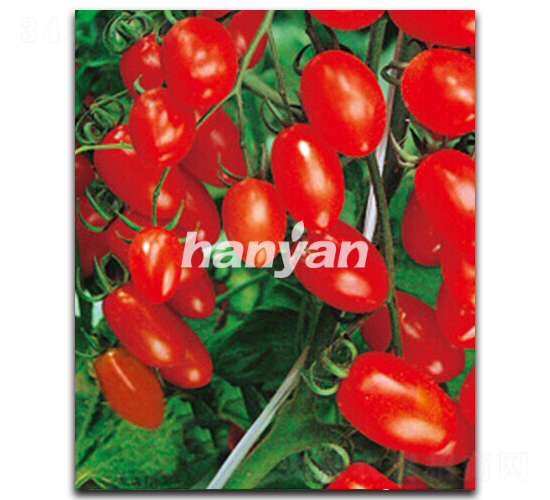 �h�Ѽt��-���ѷN��-�h��