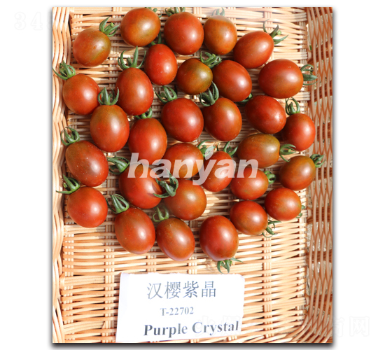 �h���Ͼ�-���ѷN��-�h��