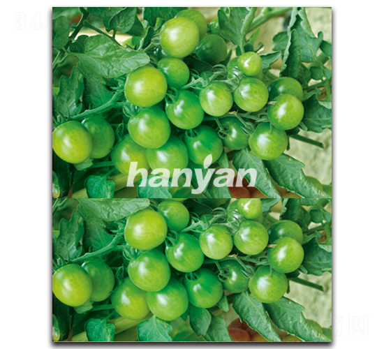 �h�ѾG��-���ѷN��-�h��