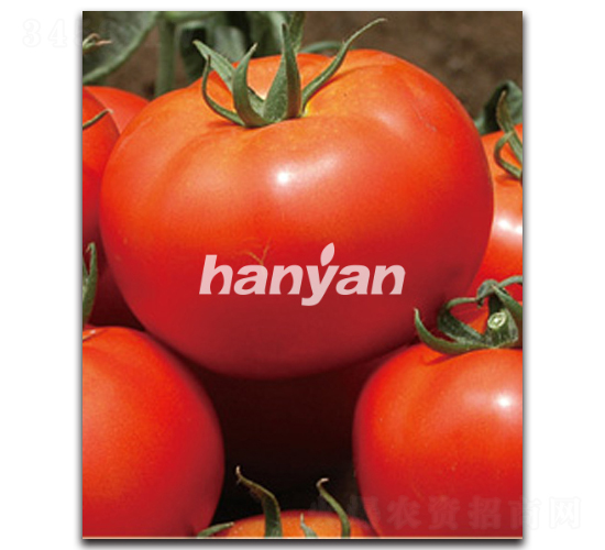 �h�r��̖��T-22302��-���ѷN��-�h��