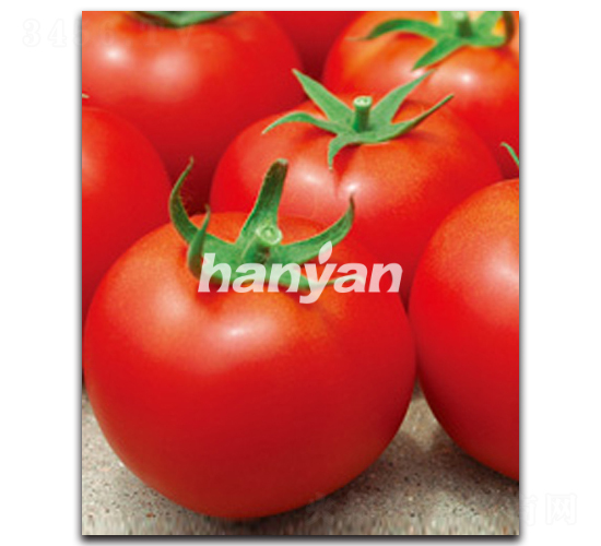 �hӯ��̖(h��o)-���ѷN��-�h��