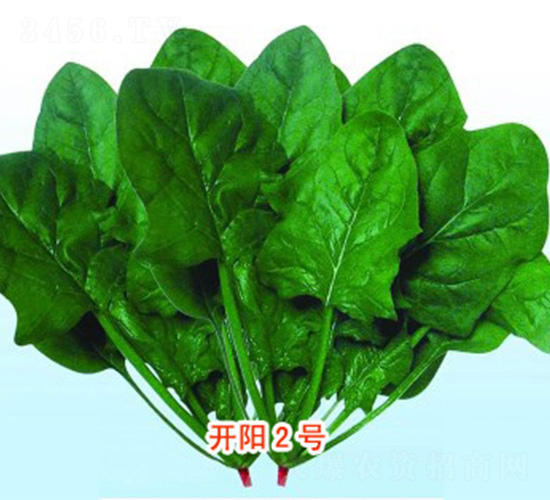 �_�2̖-���˷N��-���N