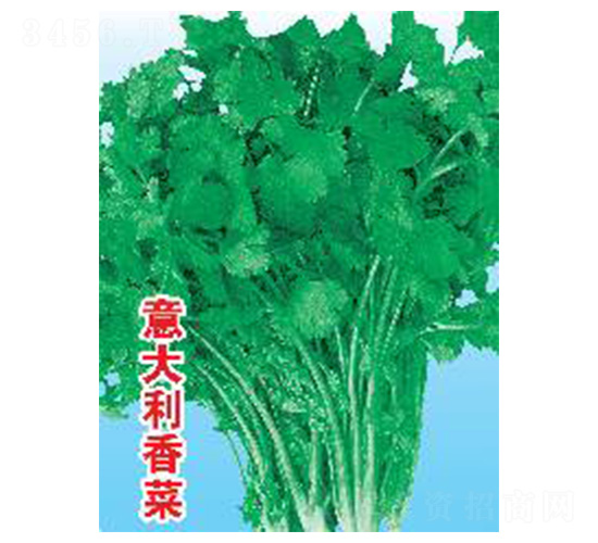 ��������-��˷N��-���N