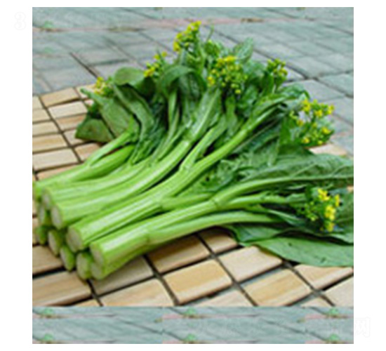 ���m-���ķN��-���N