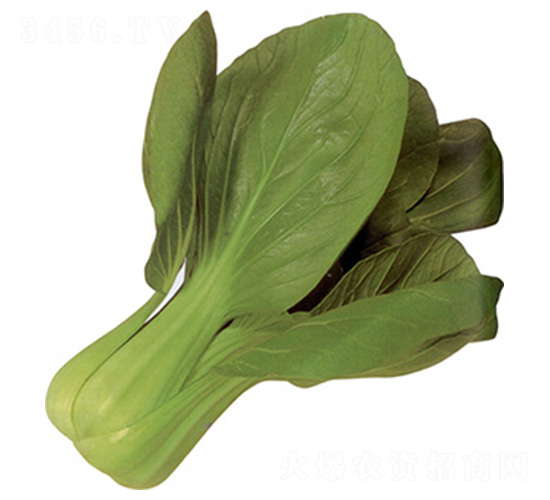 ����-�๣�˷N��-���N